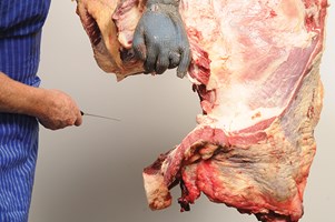 Meat Cut Spec Step 3